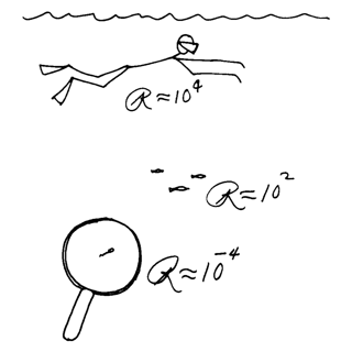 Figure 3 from Purcell's 1977 paper showing Reynold's numbers